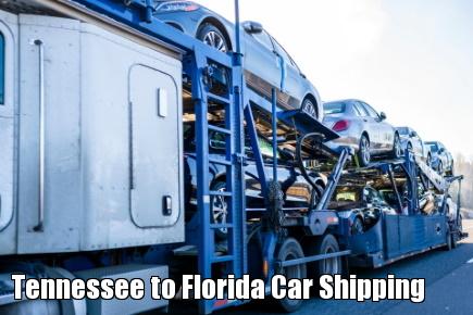 Tennessee to Florida Car Shipping