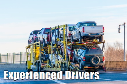 Auto Shipping Why Choose Us